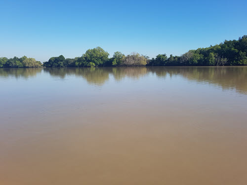 Calm water on Adelaide river