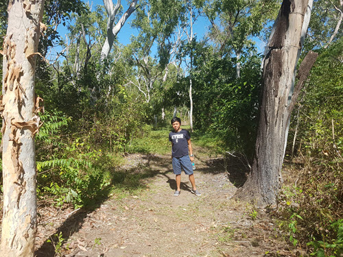 Bushwalk along Gungarre Walk