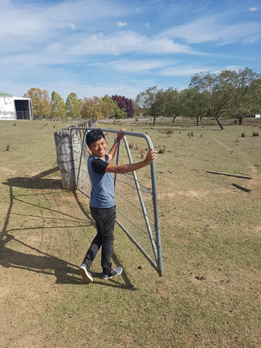 Leary open the gates to a new field for the sheep's