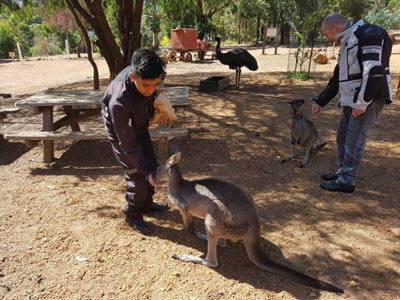 Leary feeding Kangaroo 