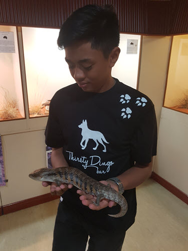 Leary holding a Blue-tongued Skink
