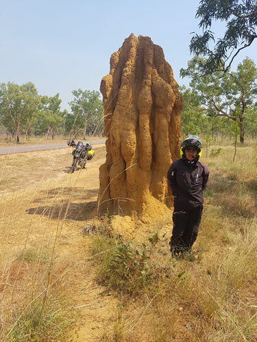 Huge termite barrack between Pine Creek and Jaribu