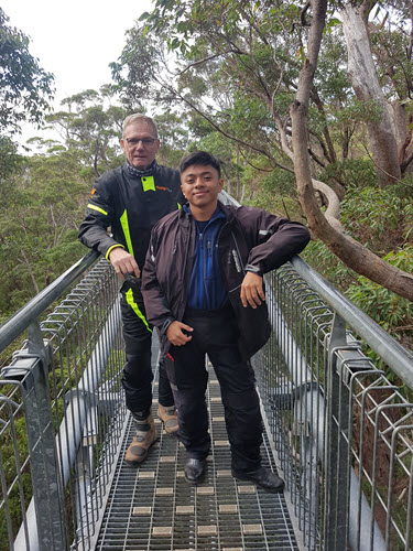 Walkway at the Valley of Giants