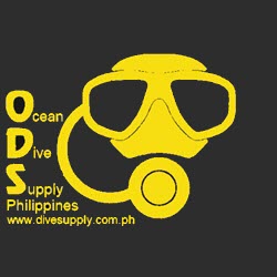 ODS Logo small