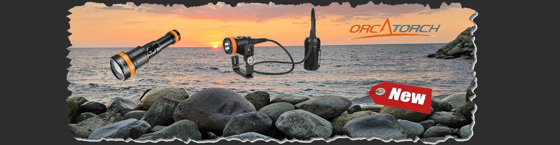 OrcaTorch D620V2 and ZD710